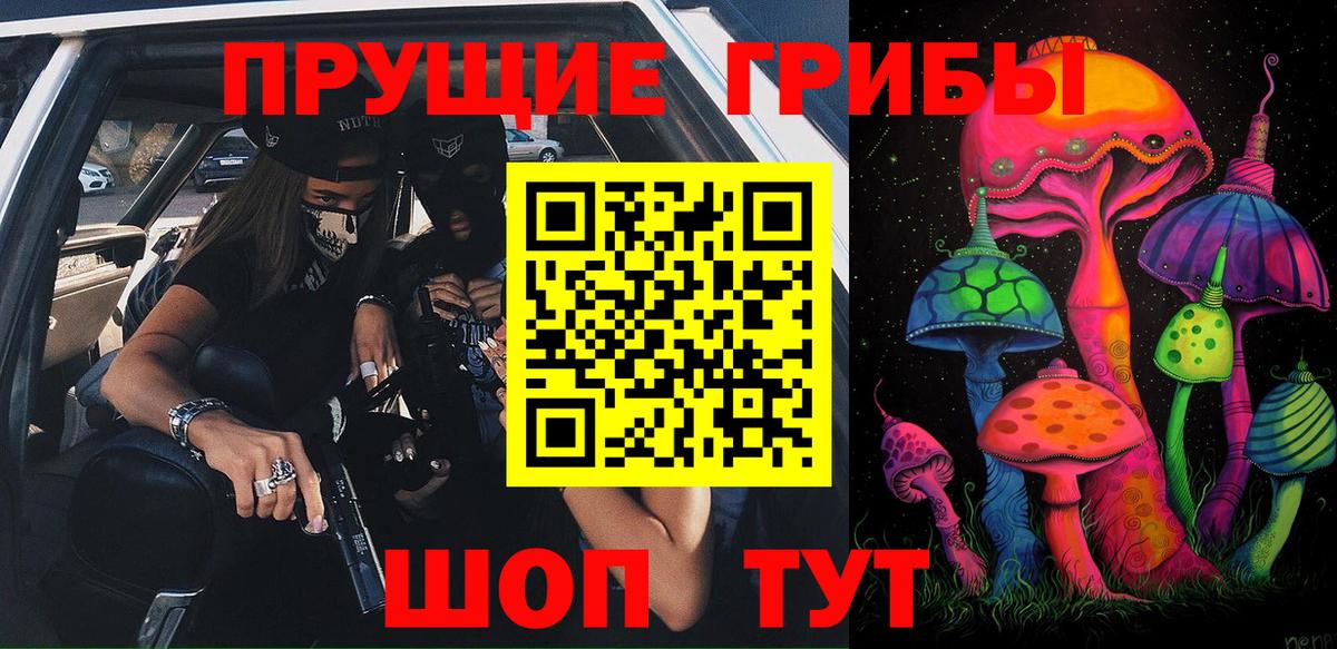 Псилоцибиновые грибы Psilocybe  Вход с VPN  Сыктывкар 